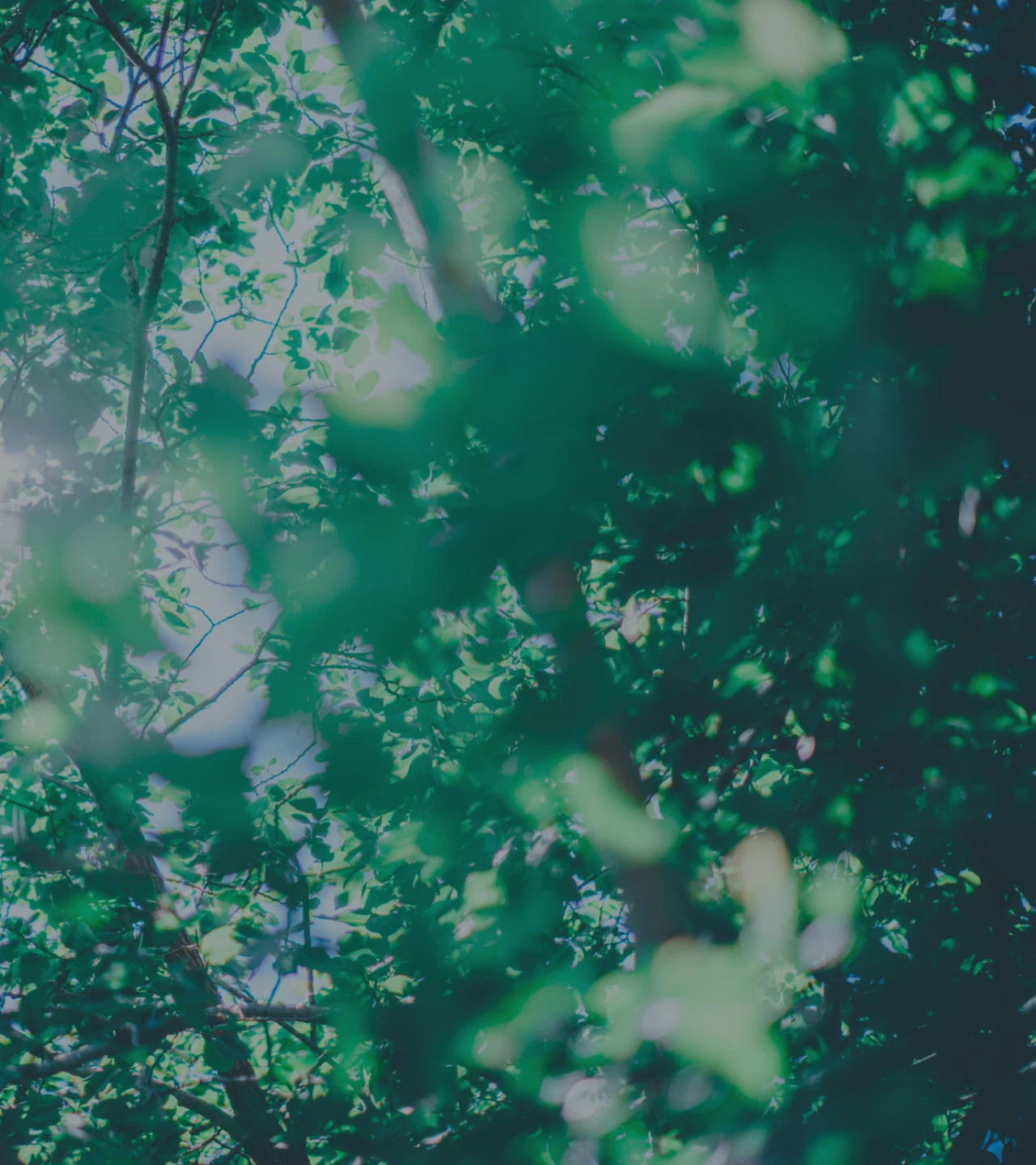 メインヴィジュアル